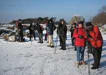 Vagga fiskehamn